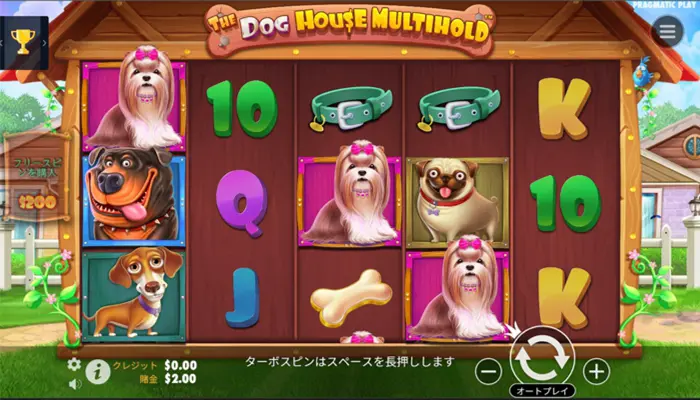 The Dog House Multihold(ザドッグハウス・マルチホールド)