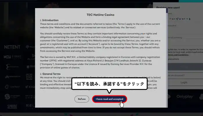 ホットラインカジノ利用規約確認画面