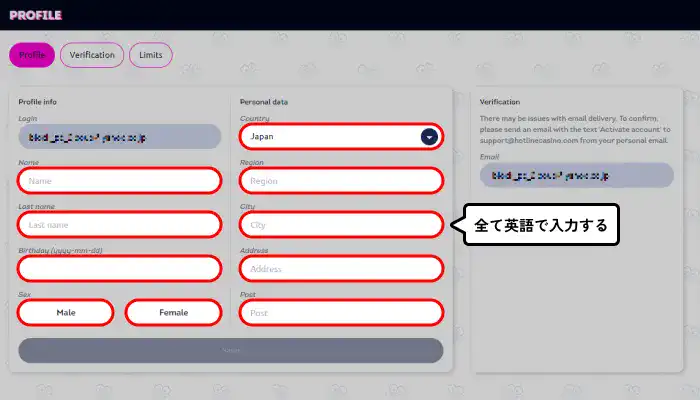 ホットラインカジノプロフィール情報入力画面