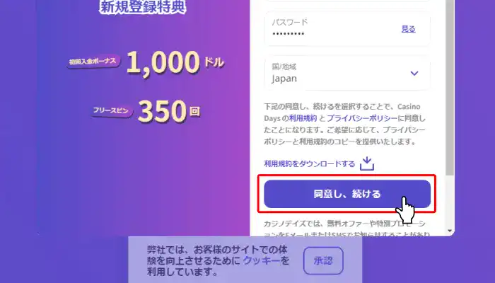 カジノデイズアカウント登録ステップ1入力完了画面