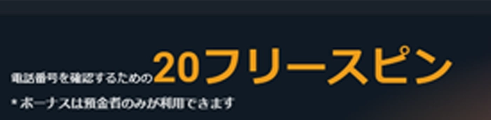 アイラッキーカジノ入金後20回転のフリースピン